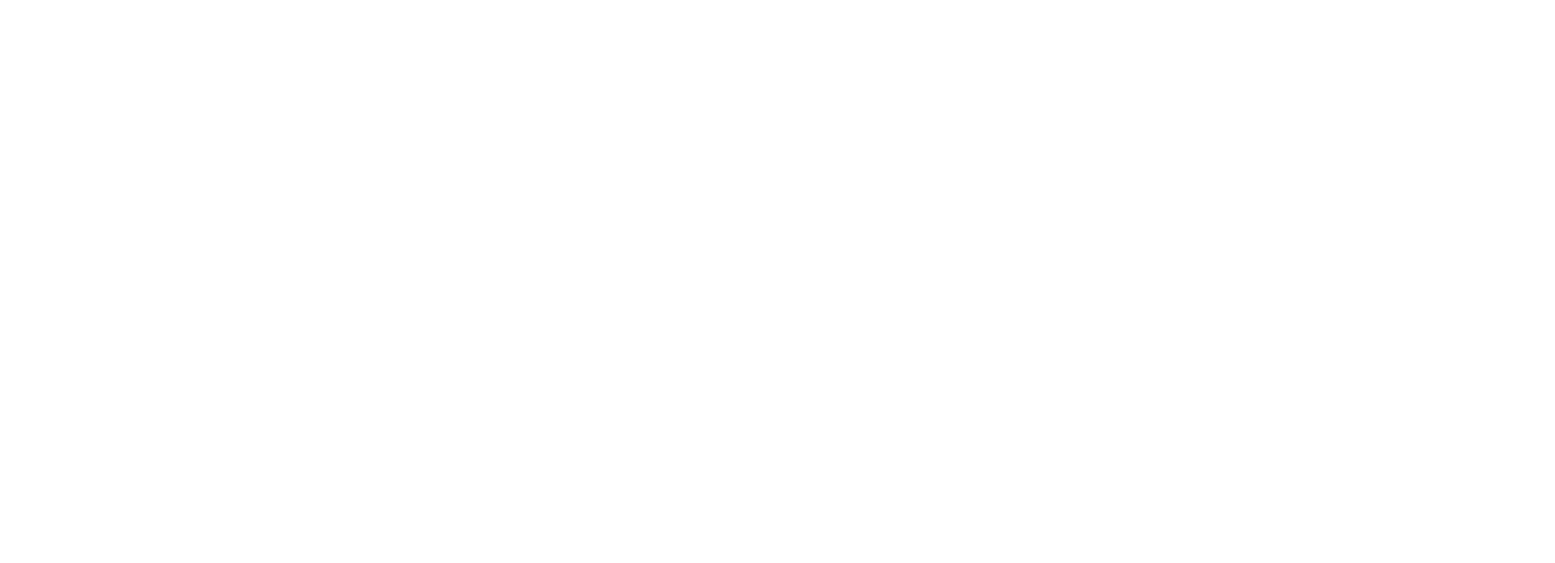 EU-GUNS white